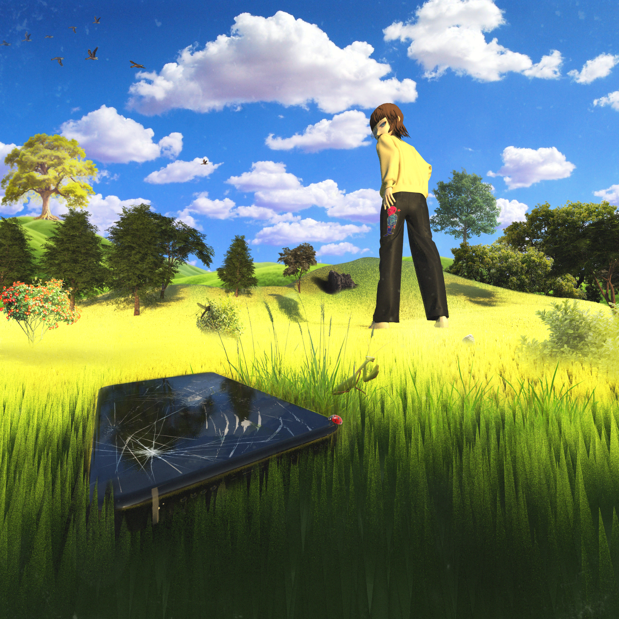 Touch Grass Cover